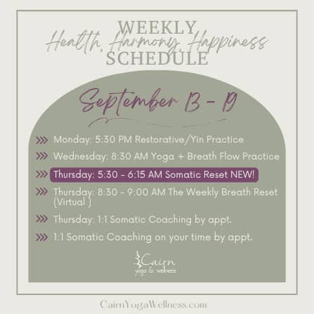 Weekly Schedule (Instagram Post)