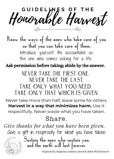 Guidelines of the Honorable Harvest (5 x 7 in)