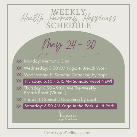 Weekly Schedule (Instagram Post)