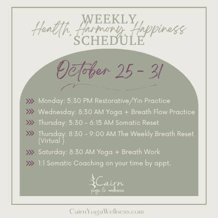 Weekly Schedule (Instagram Post)