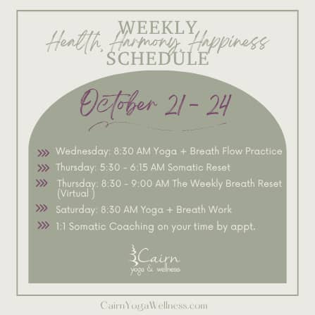 Weekly Schedule (Instagram Post)