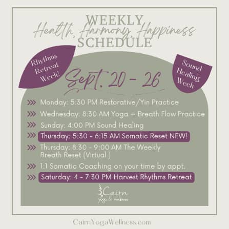 Weekly Schedule (Instagram Post)