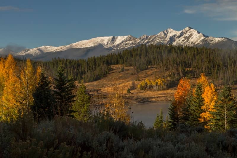 green and brown trees near snow covered mountain during daytime