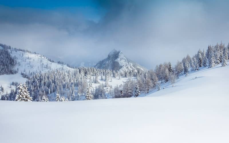 snowy hill and trees at daytime