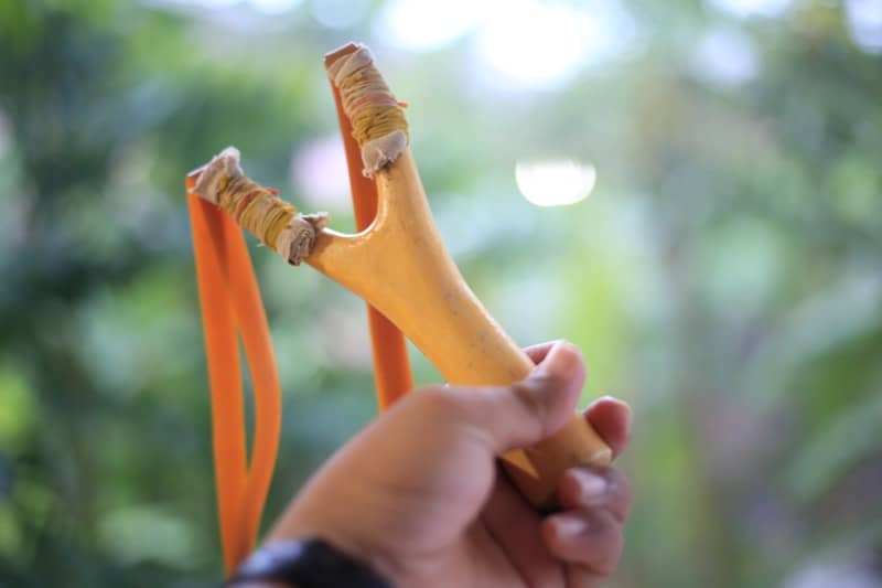 A person holding a banana in their hand