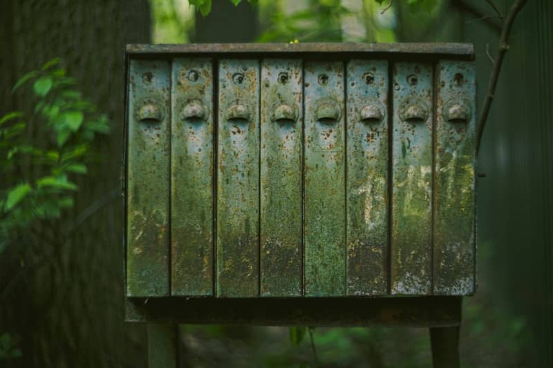 Weathered wooden mailbox stands in a forest.