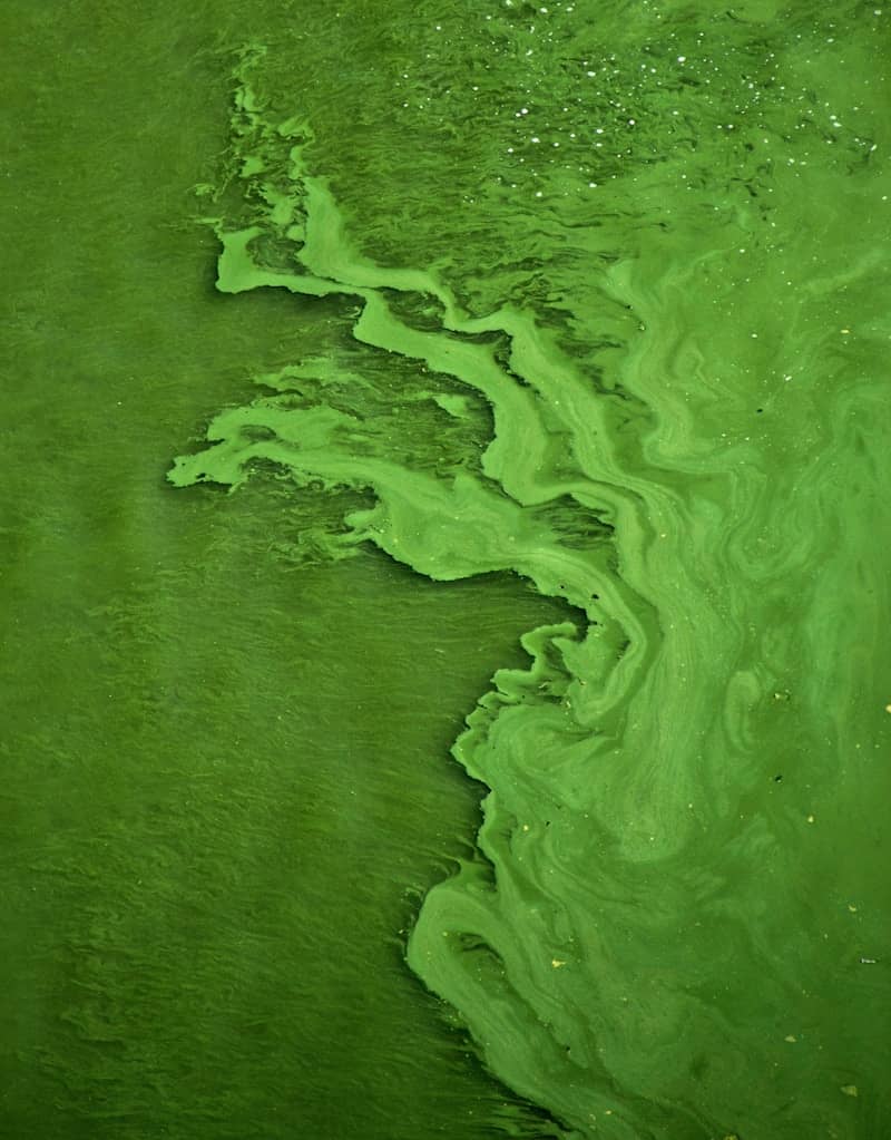 green color water