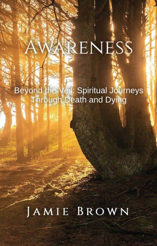 Awareness: Beyond The Veil: Spiritual Journeys Through Death And Dying. 