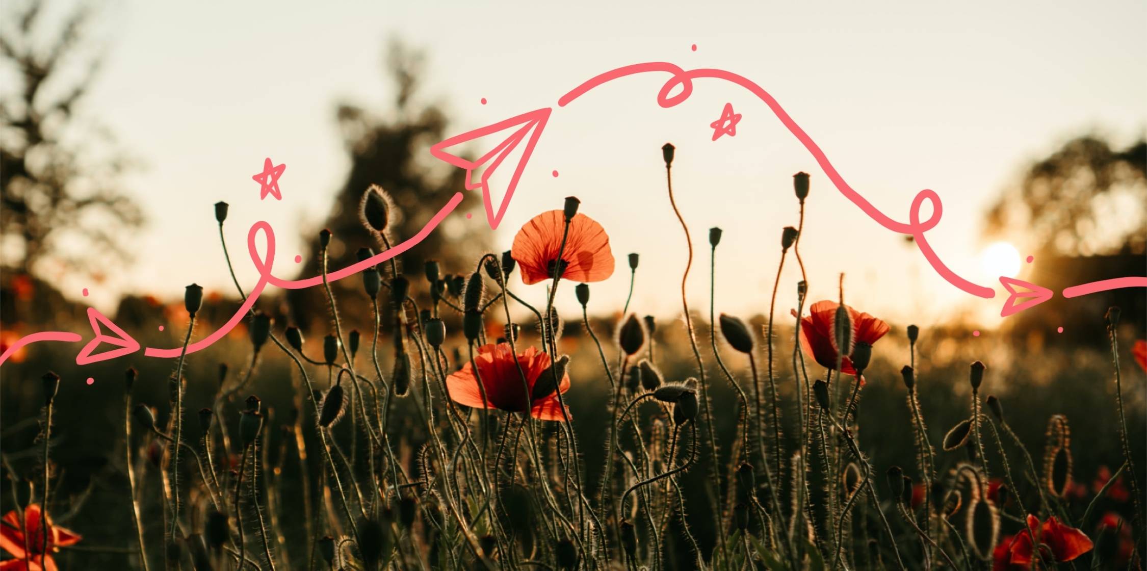 Newsletter best practices: 12 ways to hook your readers