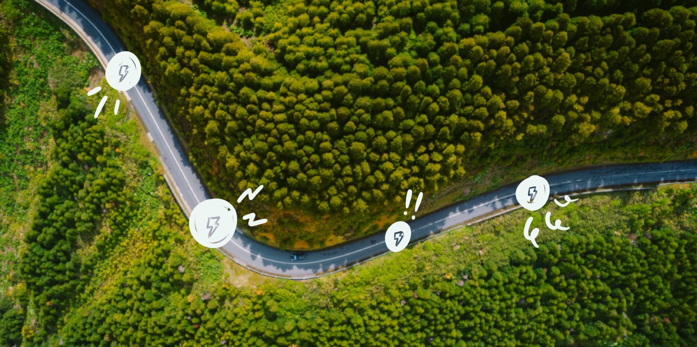 illustration of forest