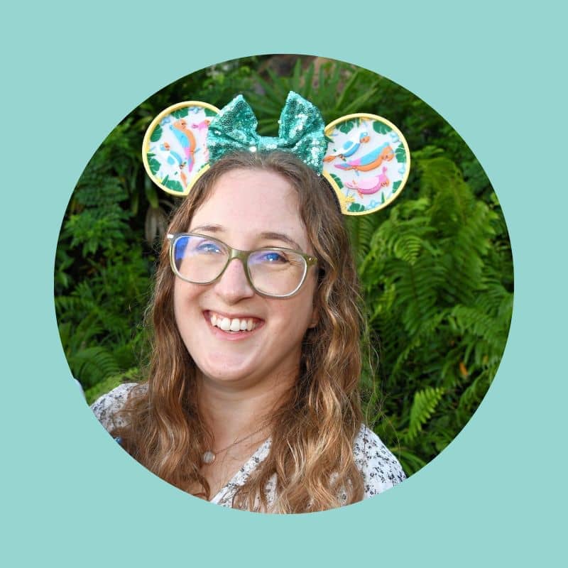 Image of A Disney Obsession