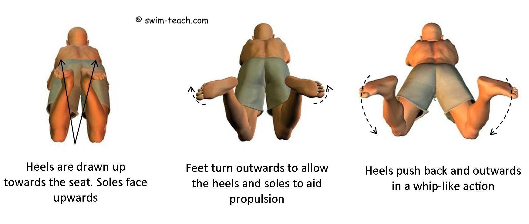 Breaststroke leg kick for beginners