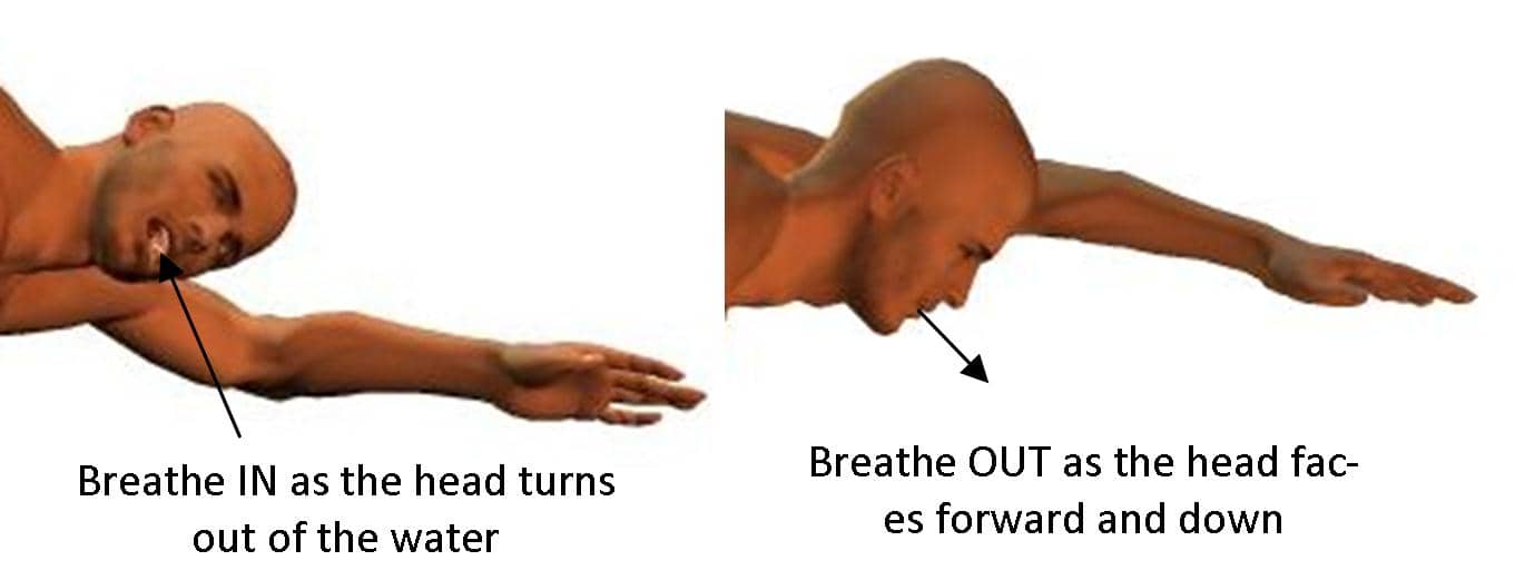 front crawl breathing timing