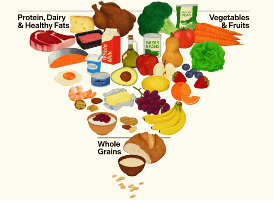 The 2026 dietary guidelines pyramid