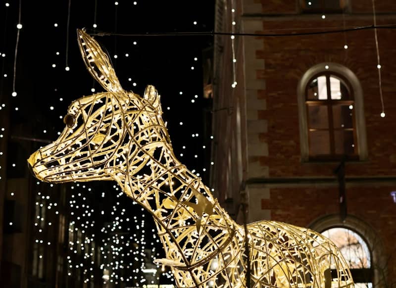 Illuminated reindeer decoration at night