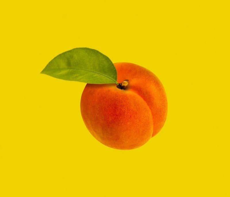 orange fruit with green leaves