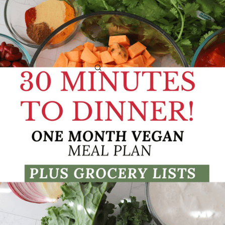 ONE MONTH vegan dinner meal plan etsy