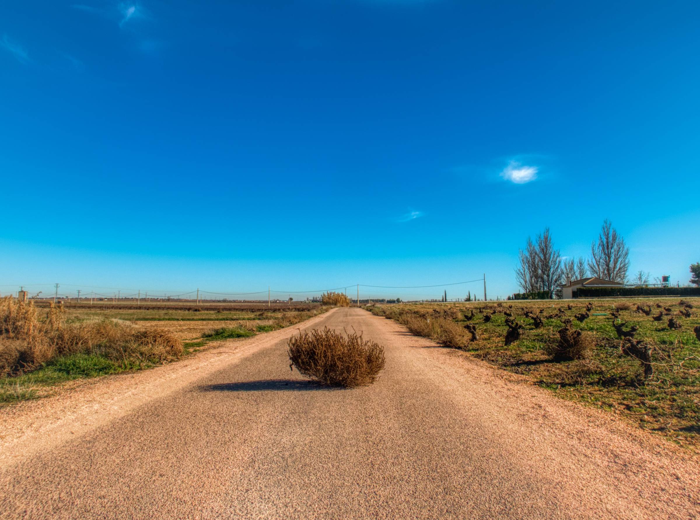 Tumbleweeds picture Photo by Luismi Sánchez on Unsplash