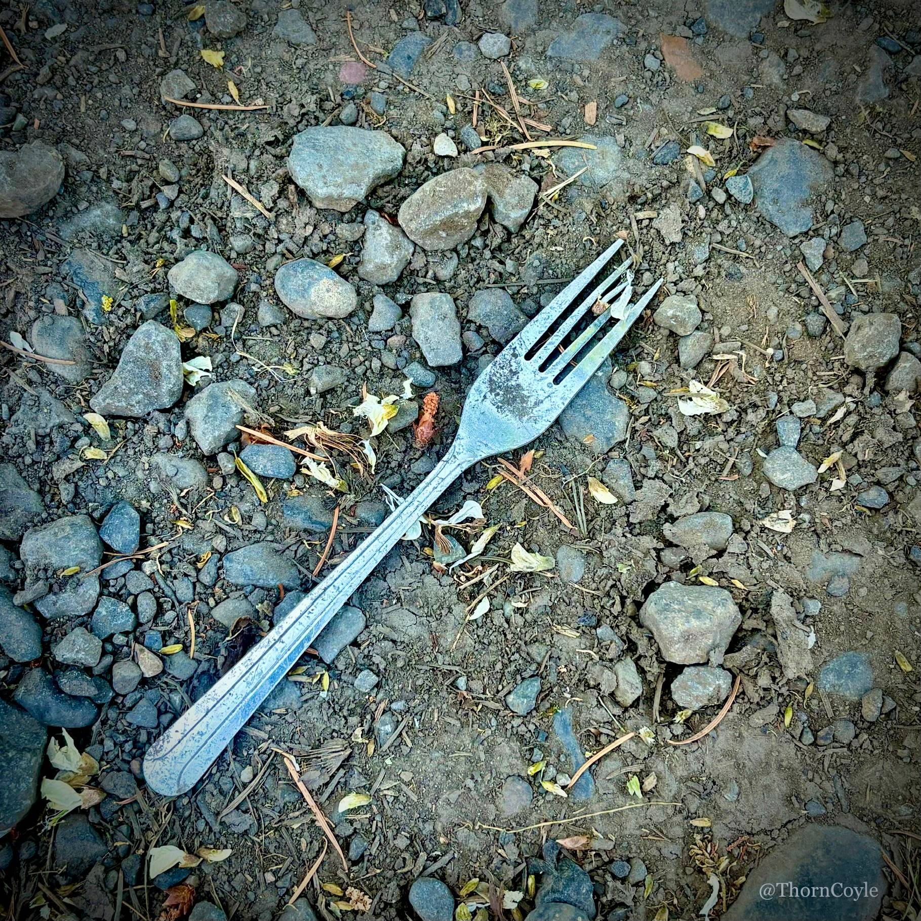 photo: a sad looking fork laying in gravel and dirt