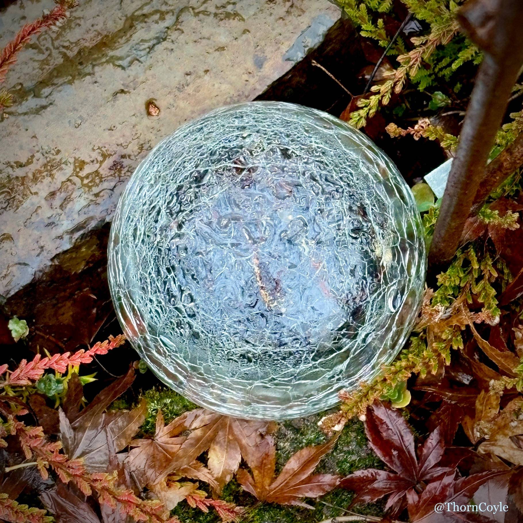 a crackled-glass globe set among wet, dropped leaves.