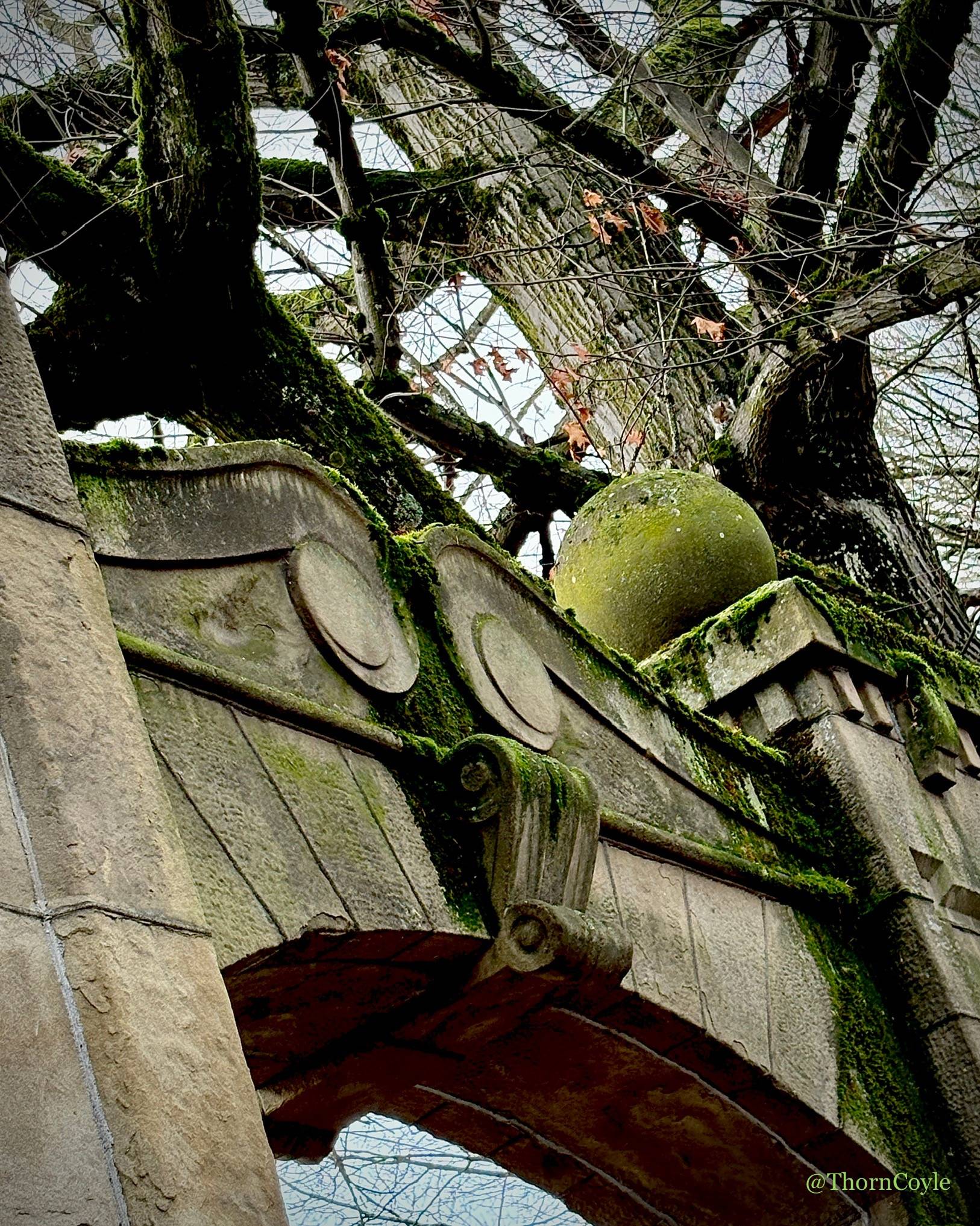 Photo: A stone arch, with moss, and a tree.