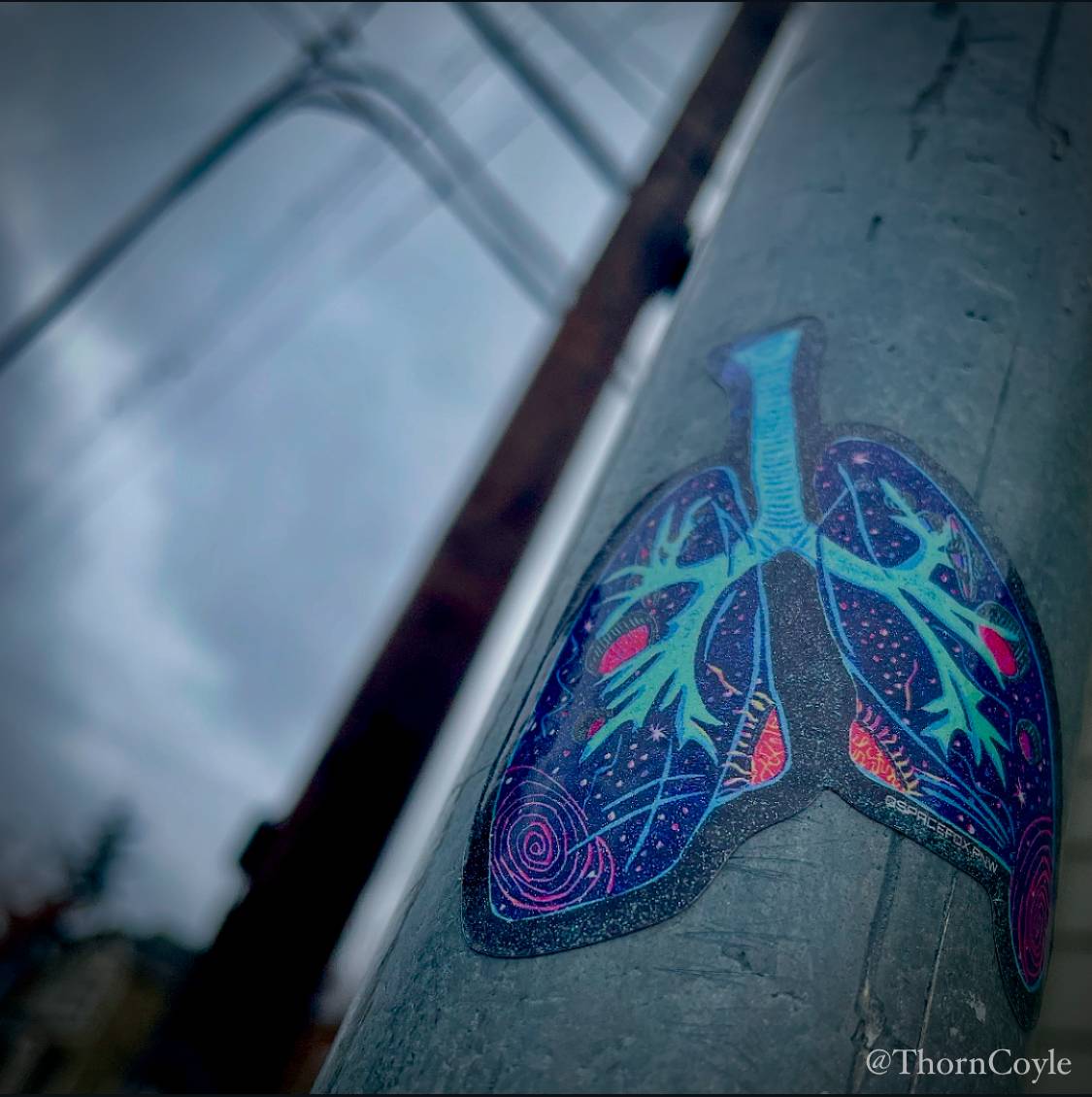 a sticker of lungs with the cosmos inside, slapped on a metal pole in a city scape against gray stormy sky.