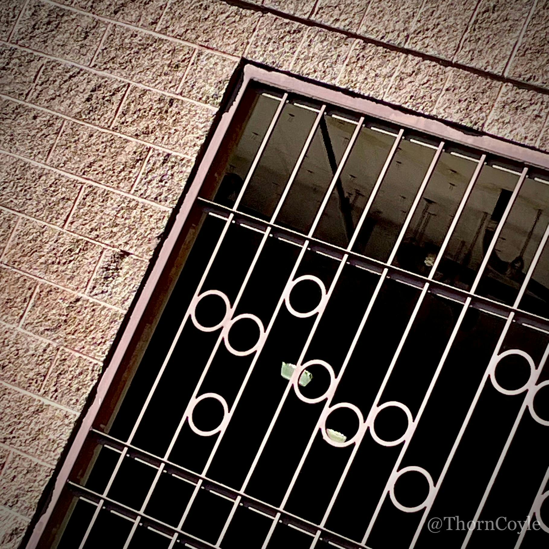 metal gate with round bubbles between the bars, set into a brick building