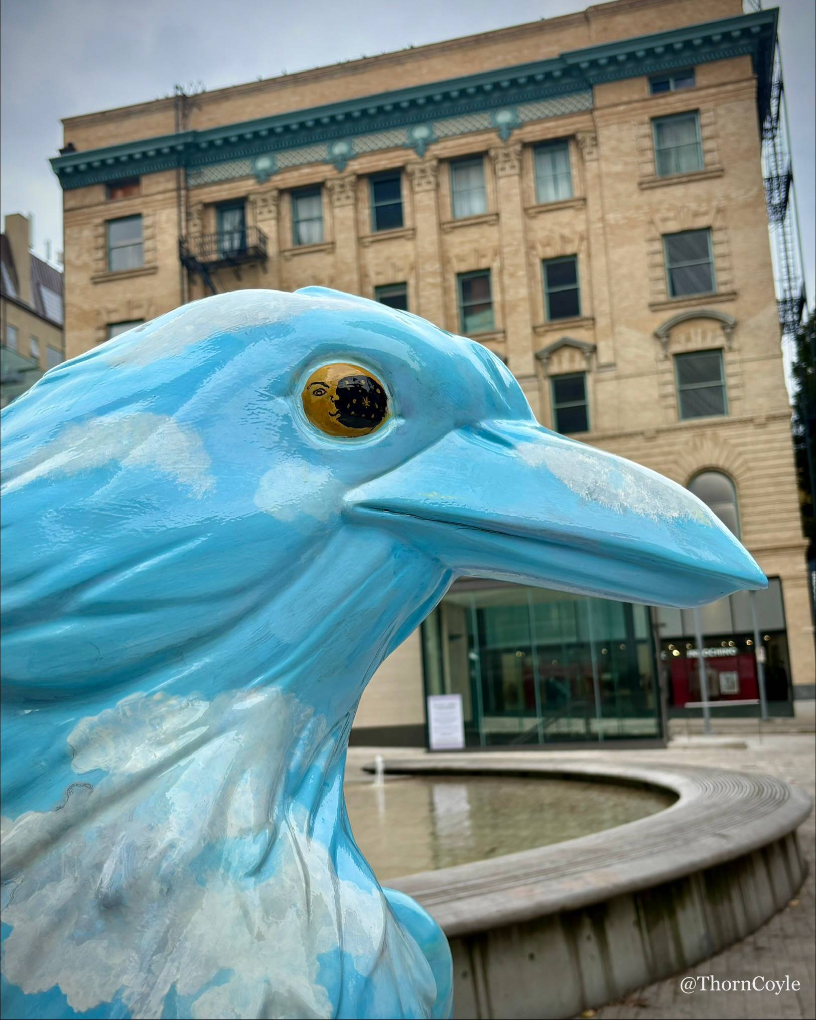 Close up of a large crow sculpture in front of a stately building. Crow is painted to look like clouds and sky. It’s eye holds a crescent moon and stars.