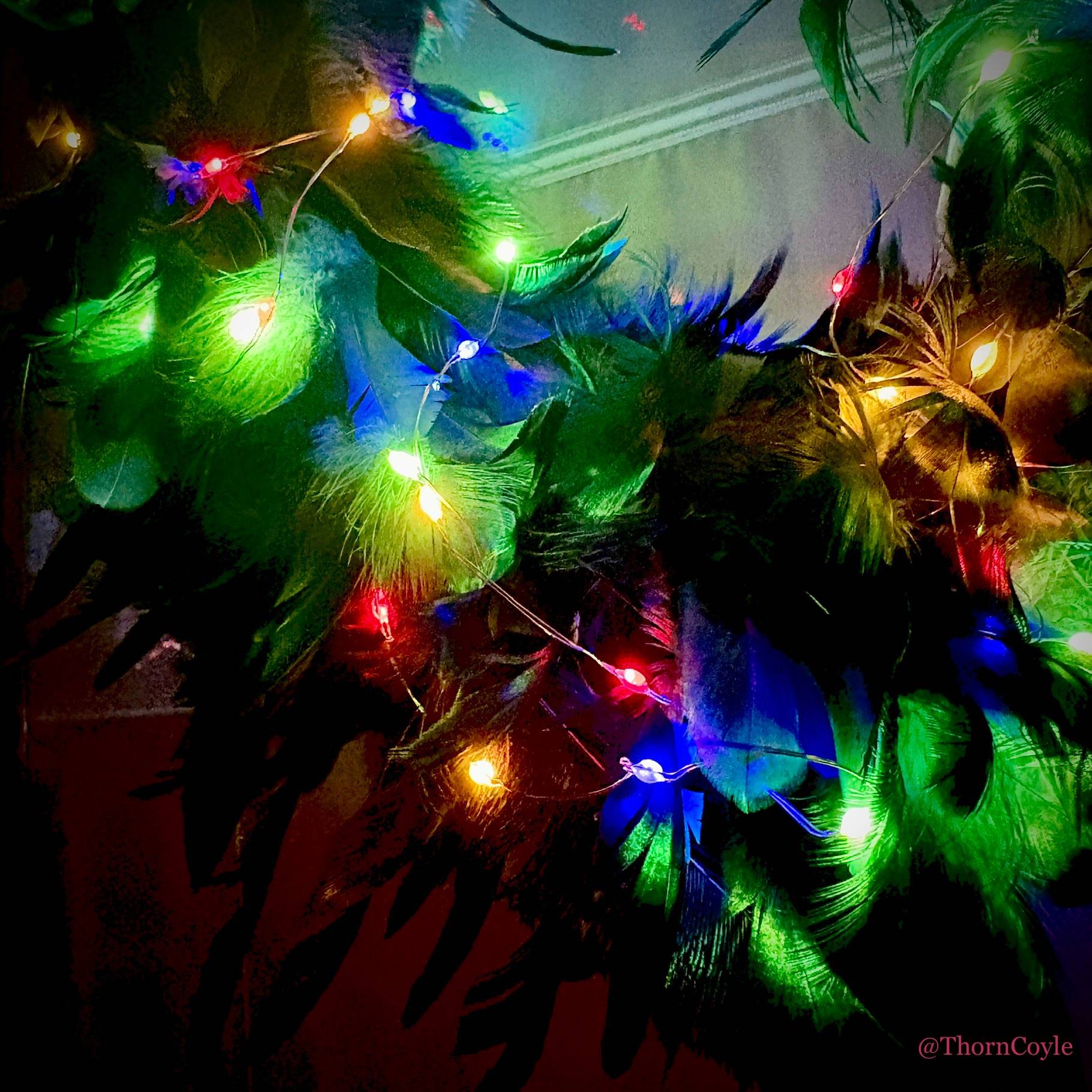 Glowing colored lights on a feathered wreath at night.