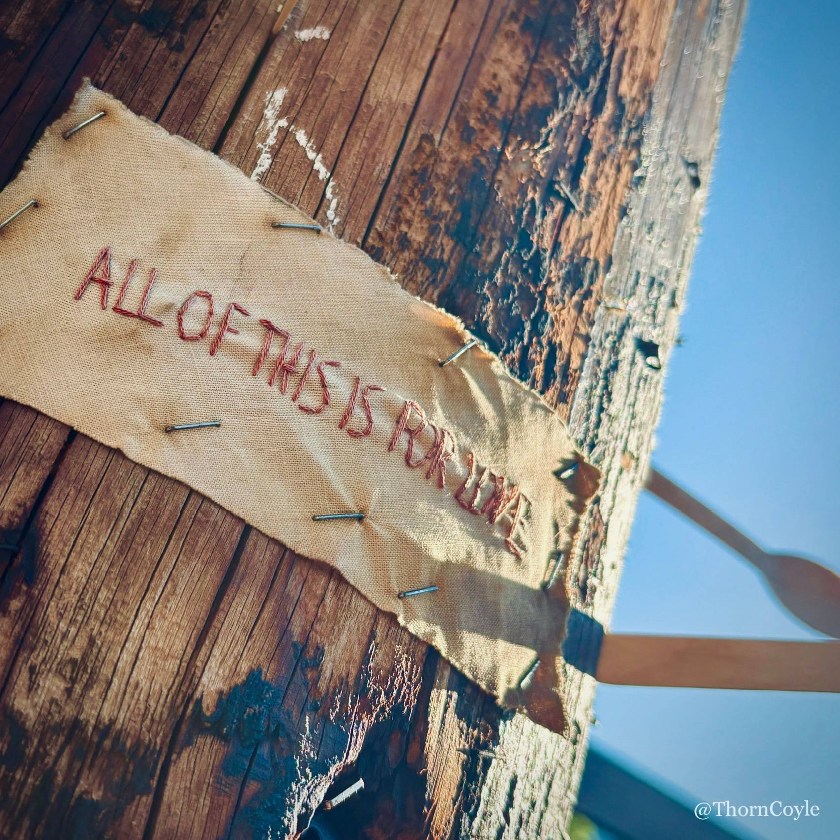 photo of a faded scrap of embroidery stapled to a utility pole. Reads "all of this is for love."
