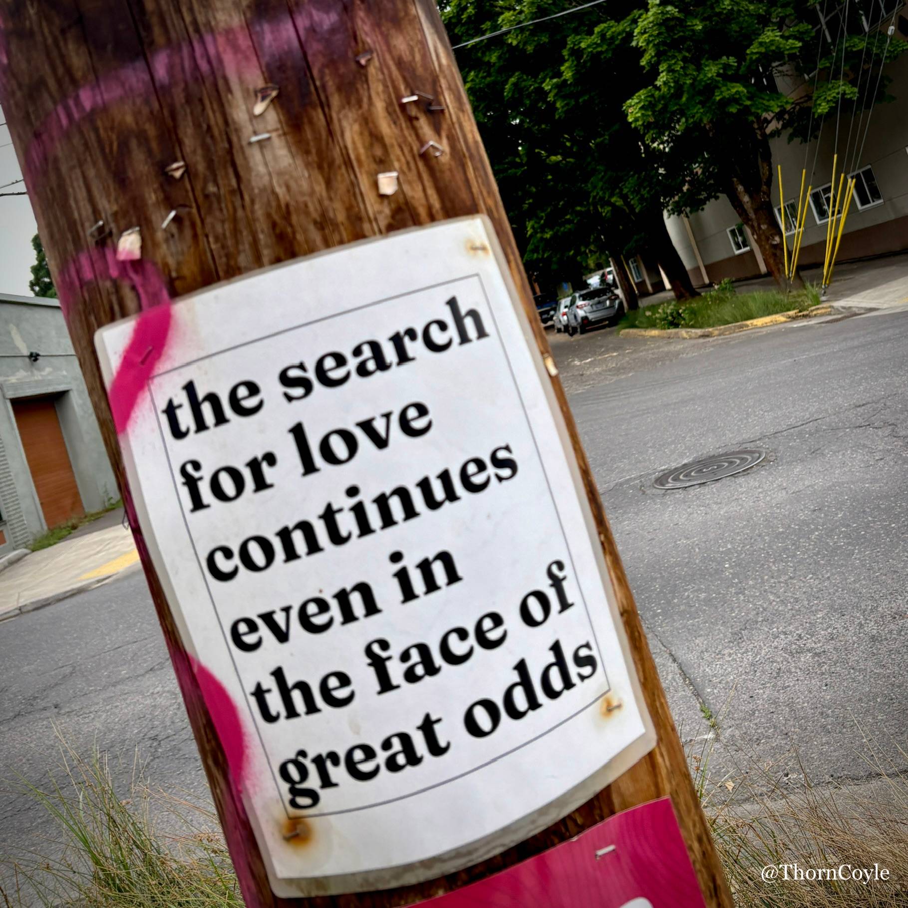 sign stapled to a wood pole: “The search for love continues even in the face of great odds