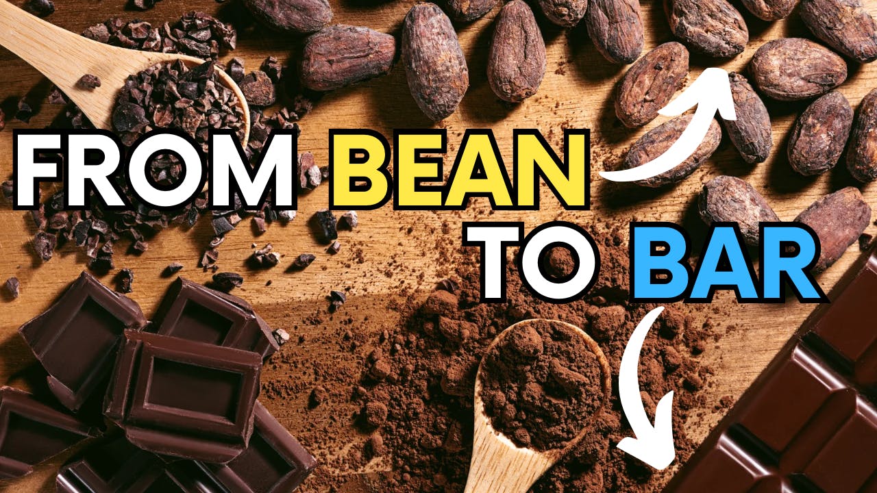 From bean to bar