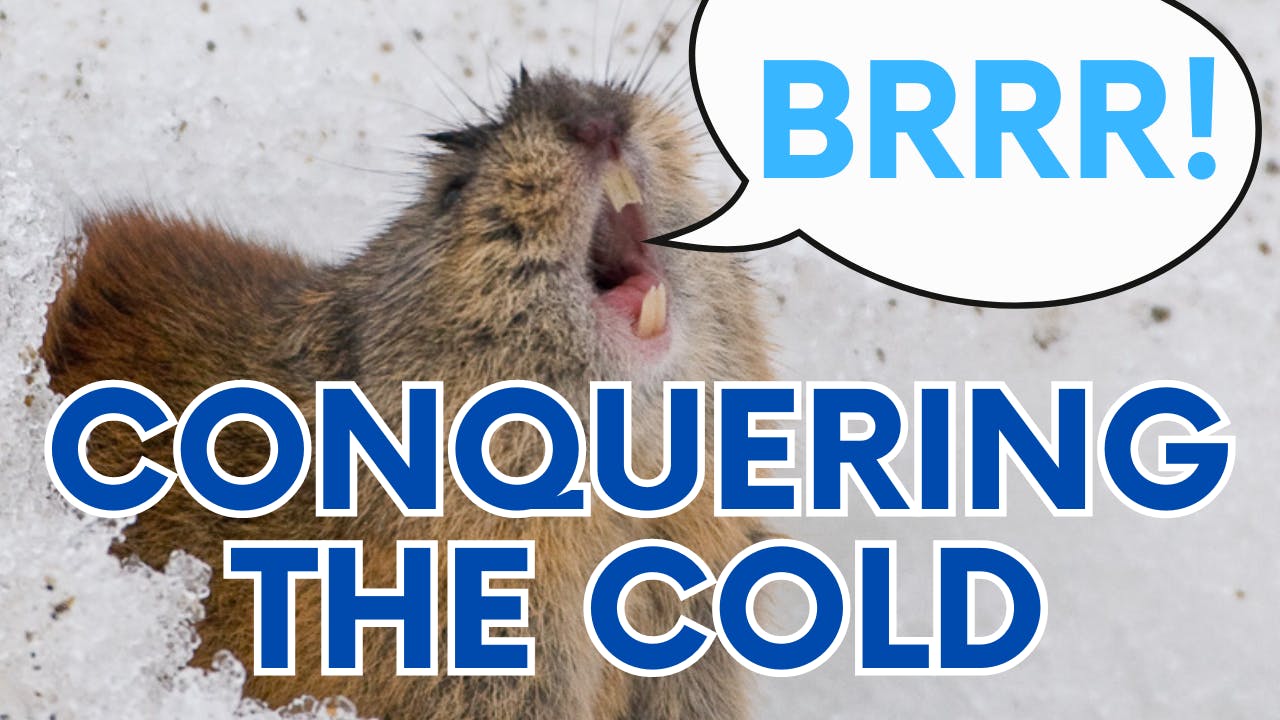 How lemmings conquer the cold