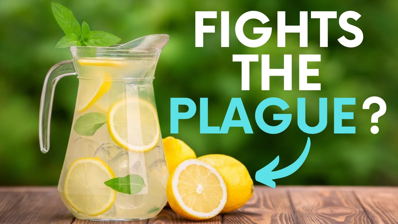 Lemonade fights the plague?