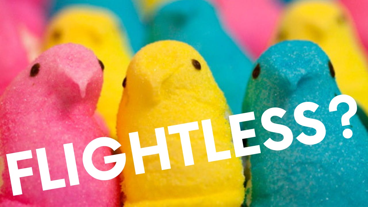 Are Peeps flightless?