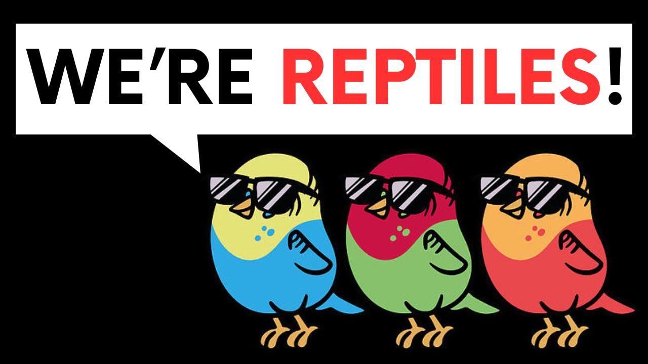 Birds are reptiles!