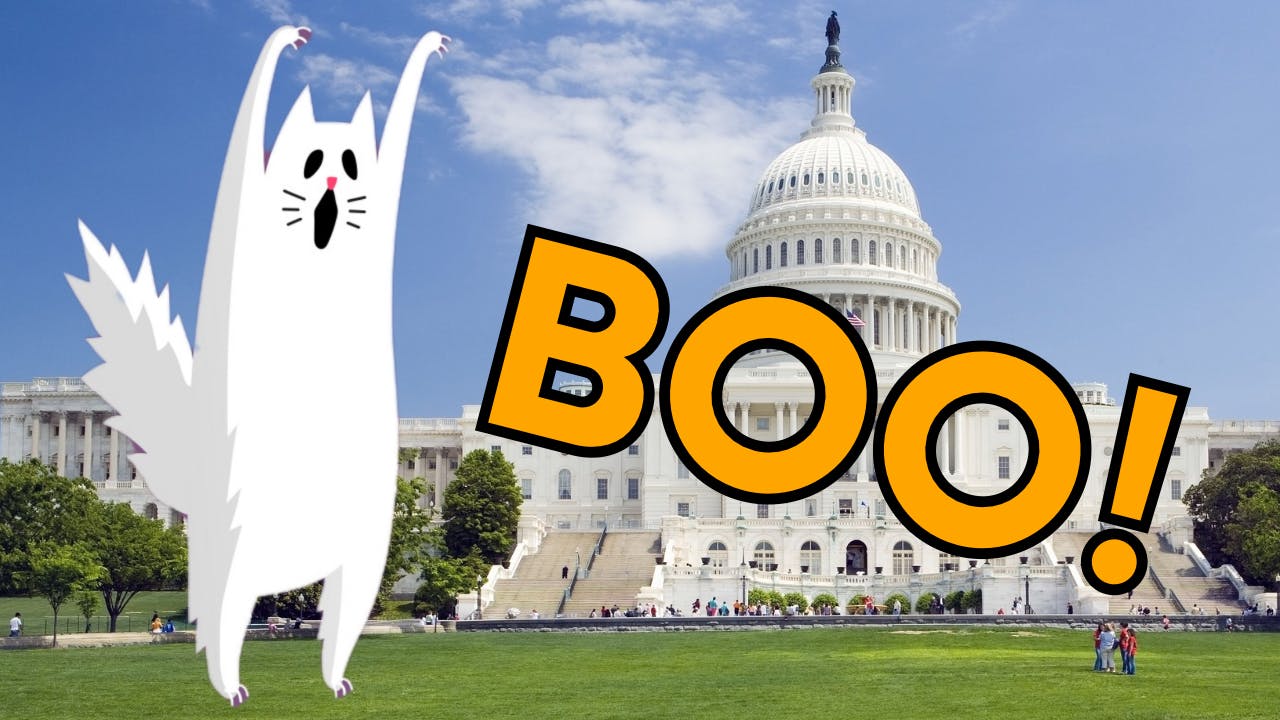 Ghostly cat shouting “Boo!” at Capitol Building