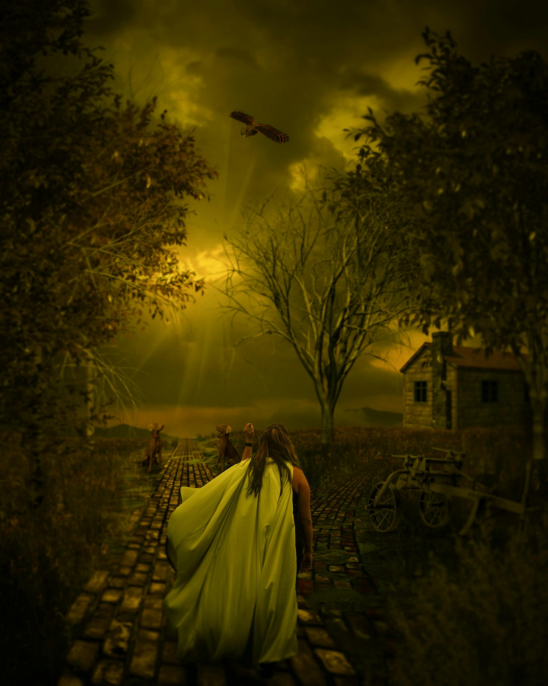 A yellow image of a woman walking down a path.
