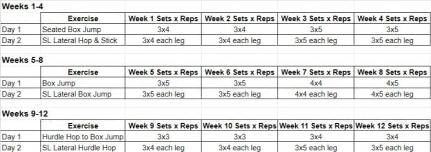 Jump Training 101 - Pat Basil