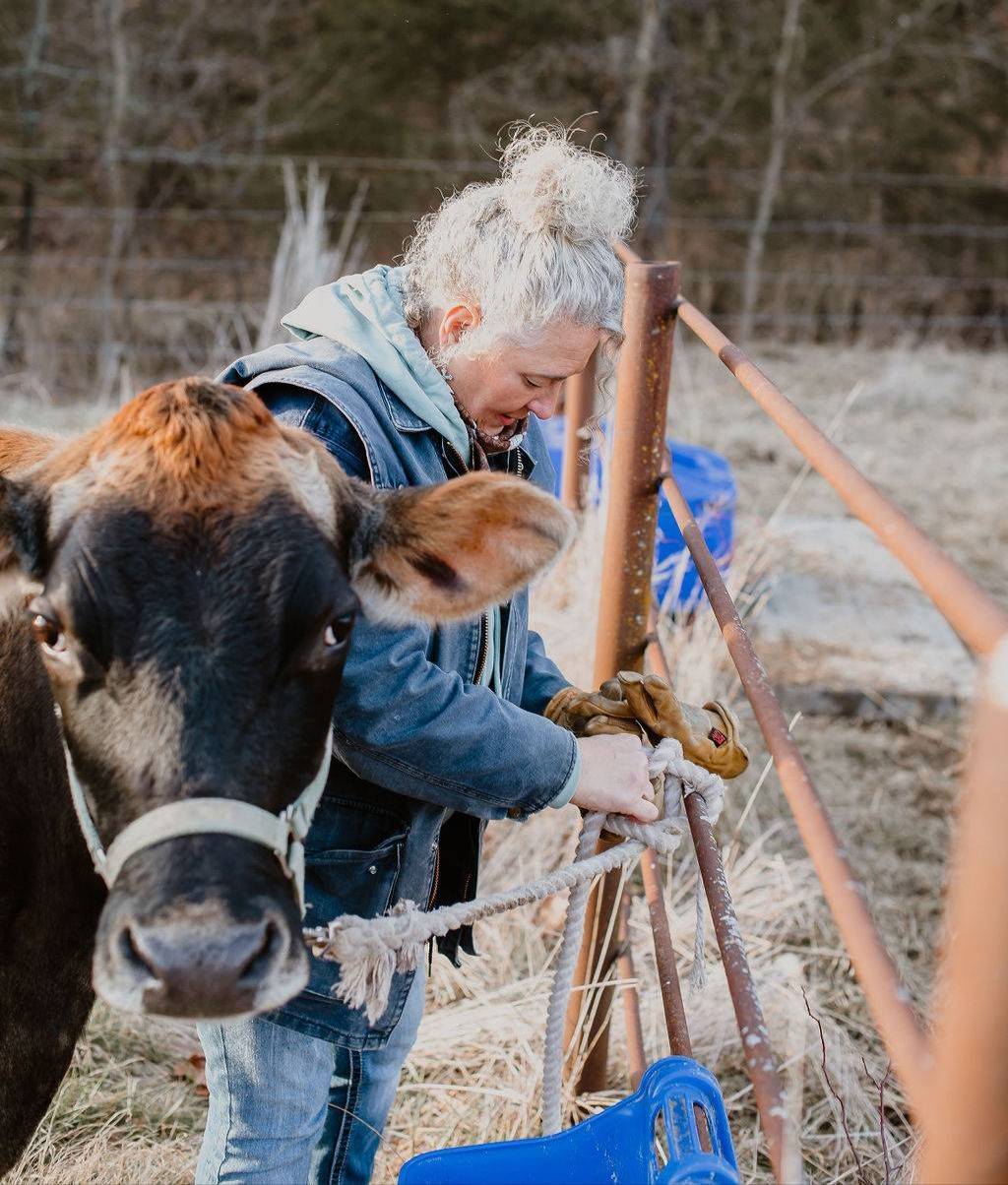 Life with Lucy: Raising a Dairy Cow with Love
