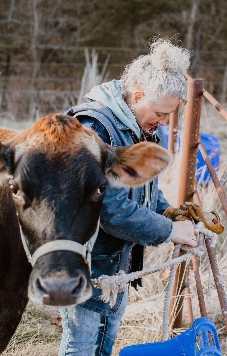 Life with a dairy cow