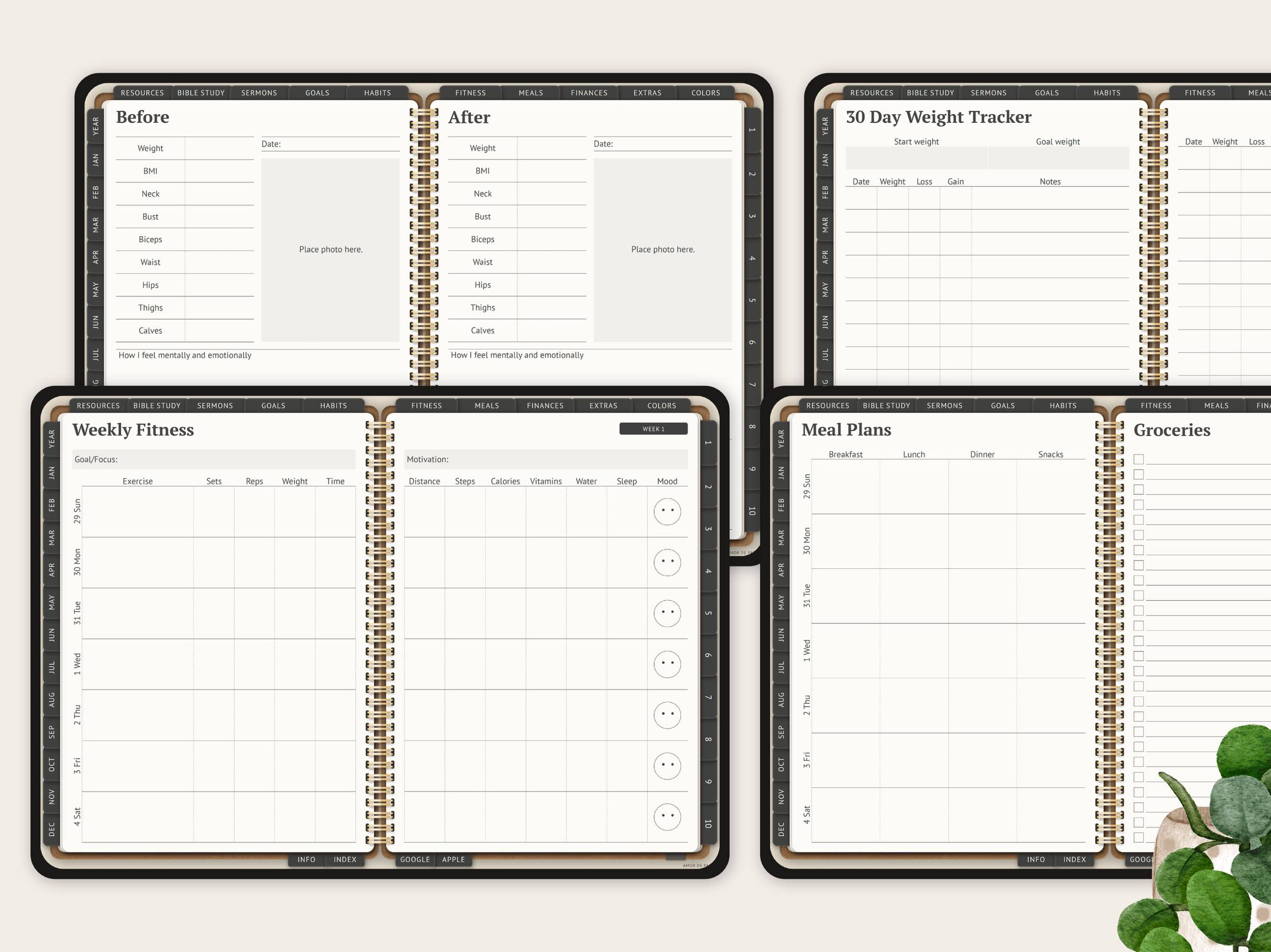 Some of the fitness and meal planning templates in the planner.