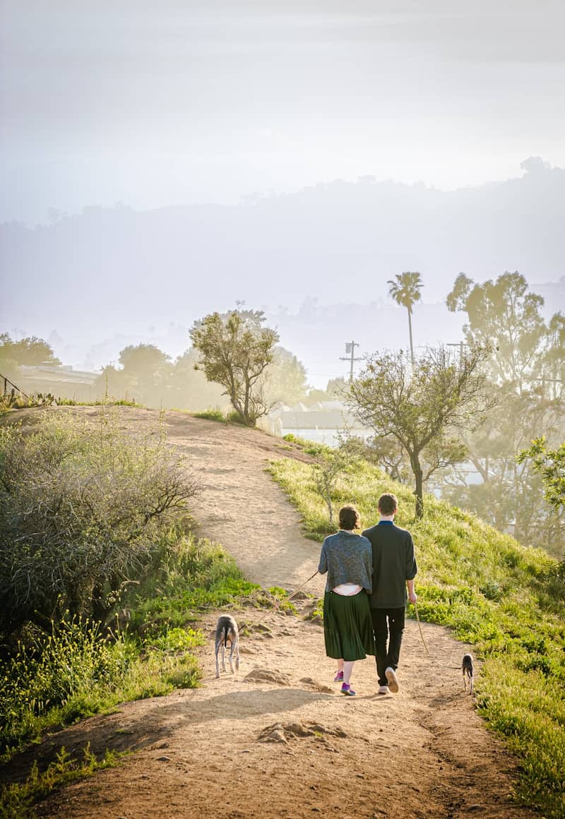 Two people and two dogs walk on a dirt path.