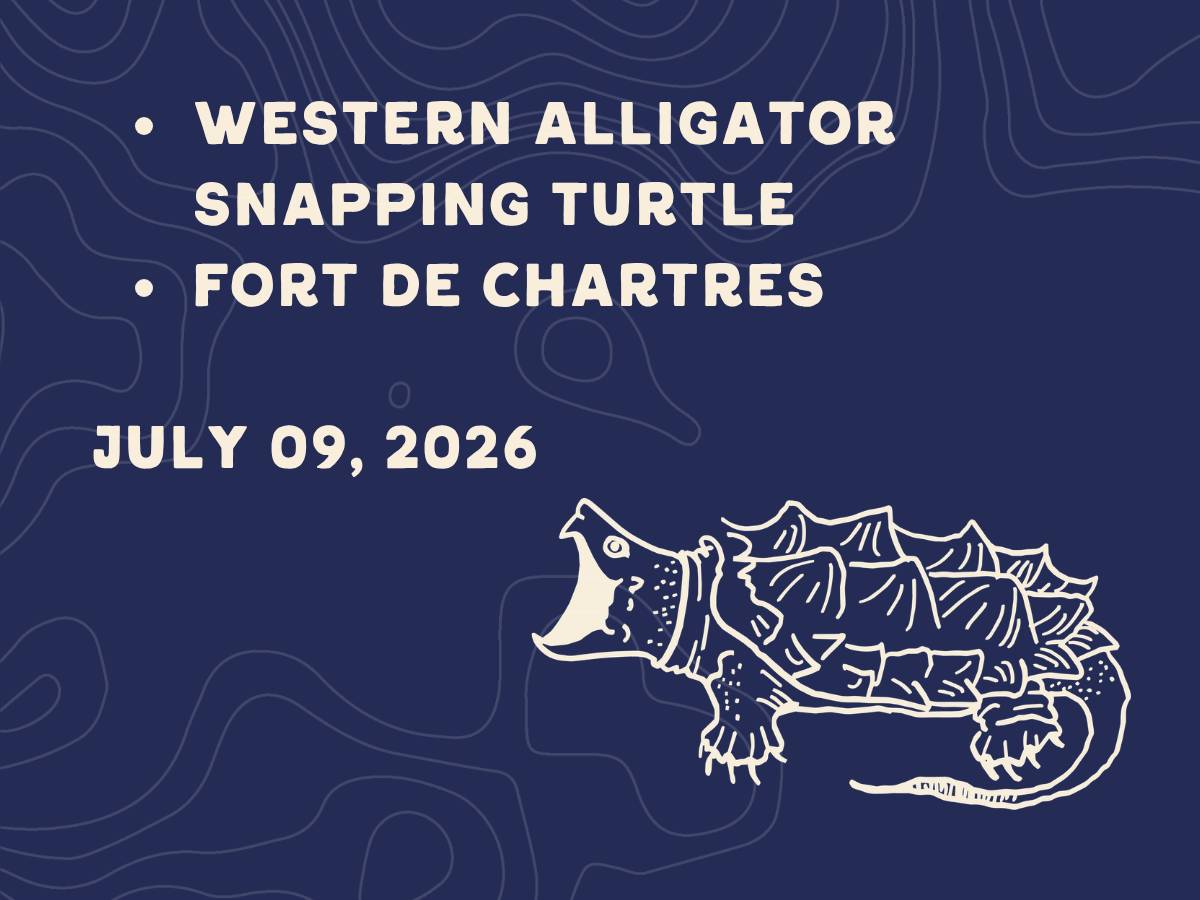 Western Alligator Snapping Turtle and Fort de Chartres