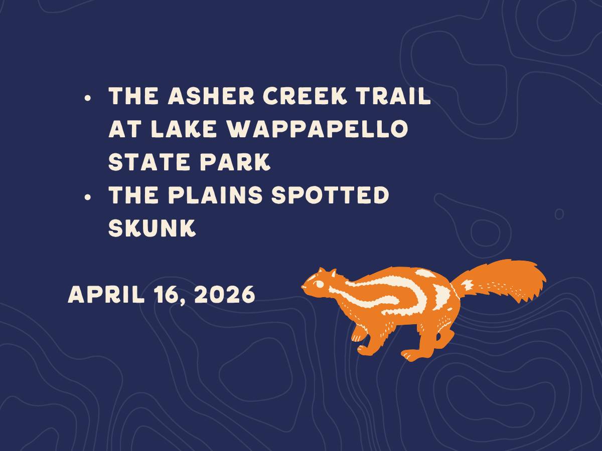 The Asher Creek Trail at Lake Wappapello State Park