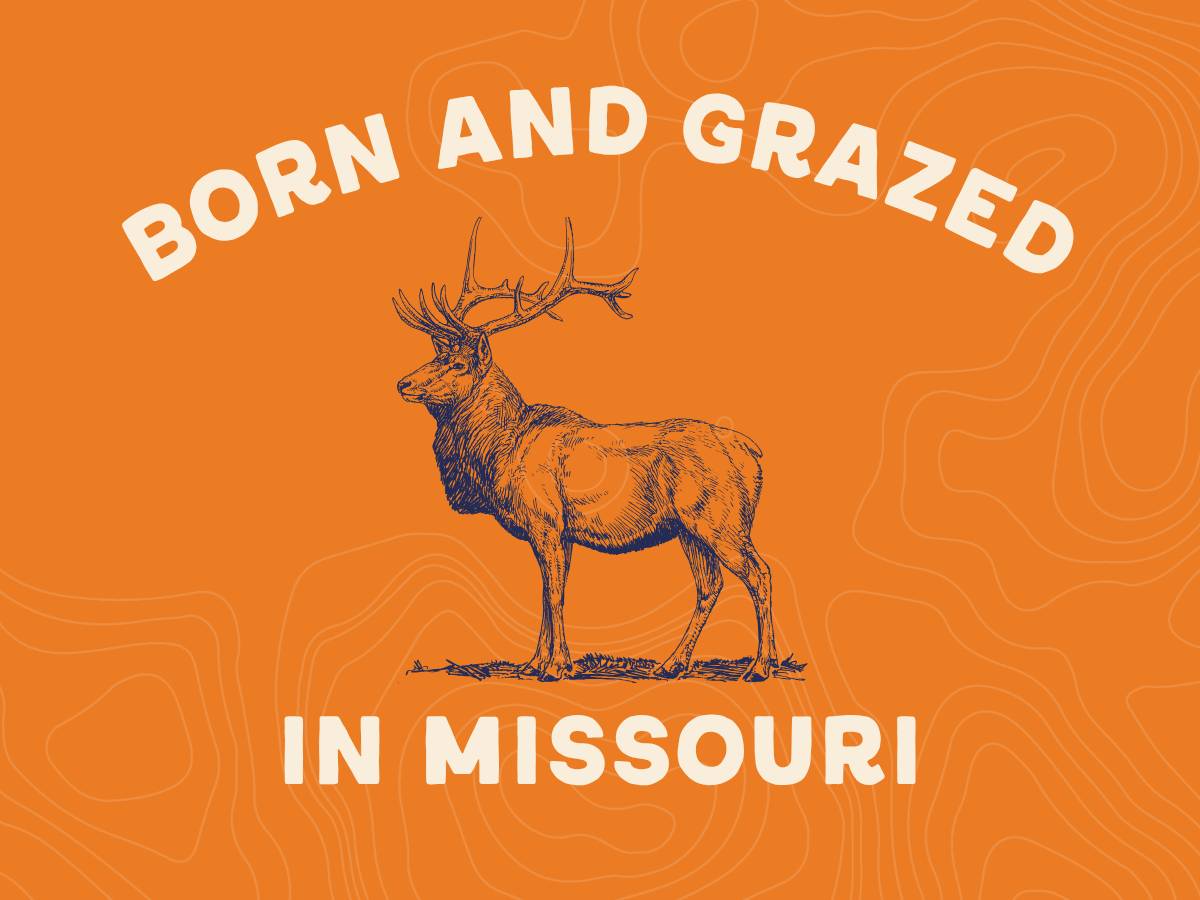 Born & Grazed in Missouri