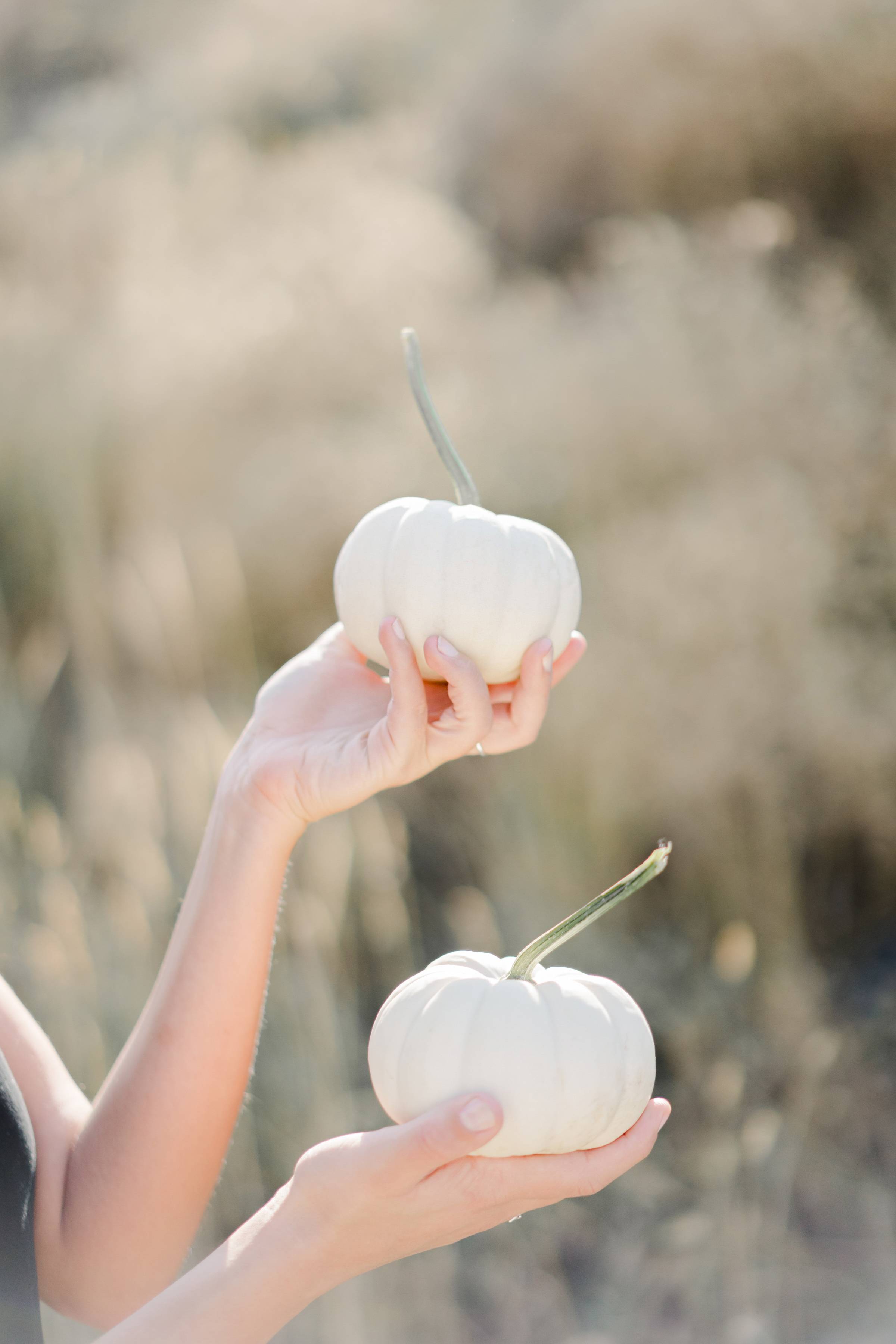 Finding Balance Before the Holiday Rush