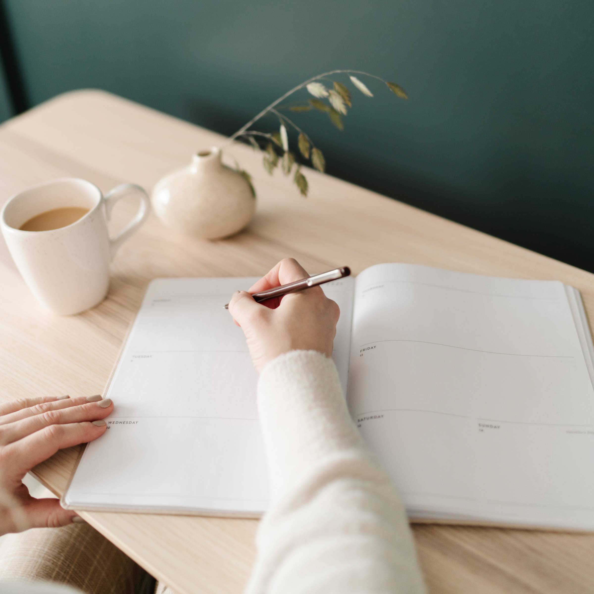 Fresh Page, Fresh Start