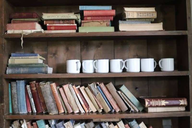 Books and mugs fill a wooden bookshelf.