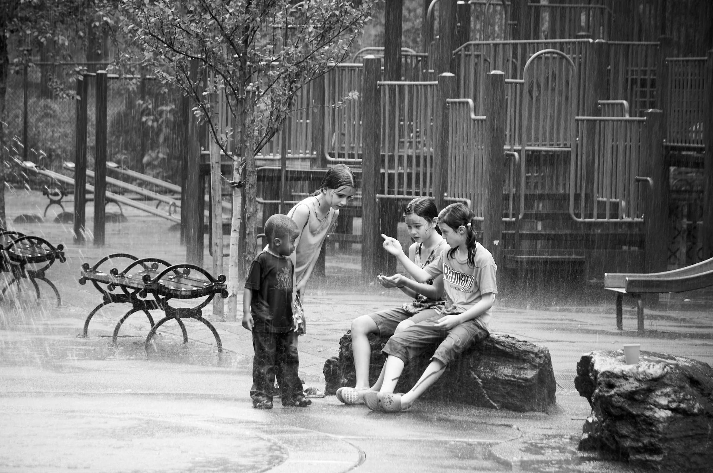 Conversation in the Rain, at the Terrain Gallery